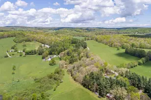 1737 King Wildesen Rd, Oakland, MD 21550 - Photo 39