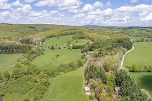 1737 King Wildesen Rd, Oakland, MD 21550 - Photo 41