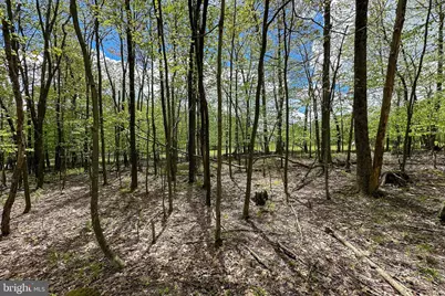 Lot 100 Snowhaven Lane, Mc Henry, MD 21541 - Photo 9