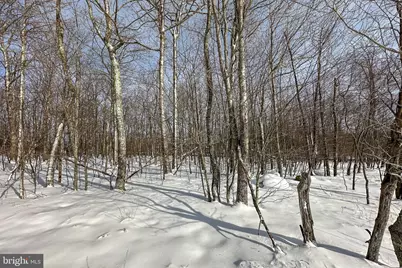 Lot 100 Snowhaven Lane, Mc Henry, MD 21541 - Photo 15