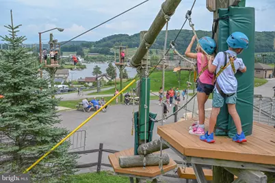 Lot 100 Snowhaven Lane, Mc Henry, MD 21541 - Photo 33