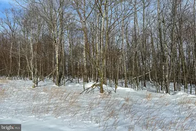 Lot 100 Snowhaven Lane, Mc Henry, MD 21541 - Photo 21