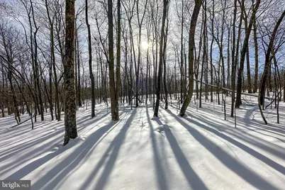 Lot 100 Snowhaven Lane, Mc Henry, MD 21541 - Photo 3