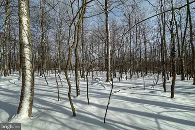 Lot 100 Snowhaven Lane, Mc Henry, MD 21541 - Photo 13