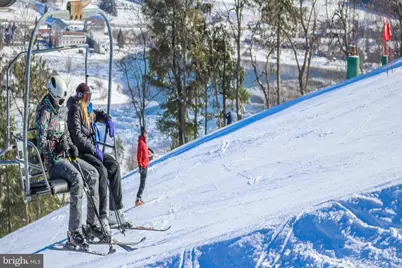 Lot 100 Snowhaven Lane, Mc Henry, MD 21541 - Photo 29