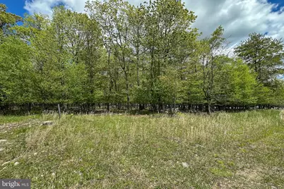 Lot 100 Snowhaven Lane, Mc Henry, MD 21541 - Photo 19