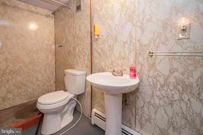 315 Coolidge Avenue, Oakland, MD 21550 - Photo 53