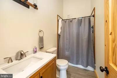 120 Daisy Drive, Mc Henry, MD 21541 - Photo 35