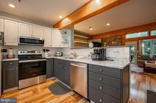 257 Marsh Hill Rd, Mc Henry, MD 21541 - Photo 9