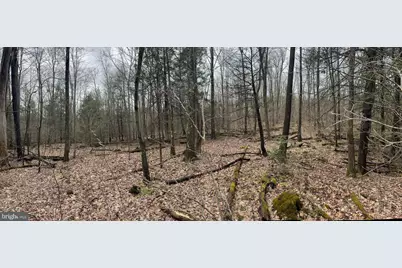 Mayhew Inn Road, Oakland, MD 21550 - Photo 31