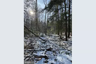 Mayhew Inn Road, Oakland, MD 21550 - Photo 21