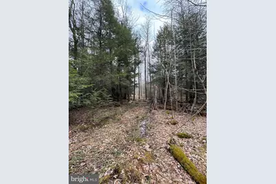 Mayhew Inn Road, Oakland, MD 21550 - Photo 3