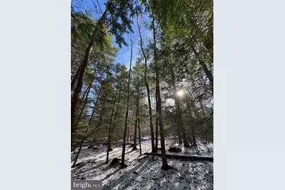 Mayhew Inn Road, Oakland, MD 21550 - Photo 25