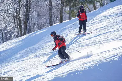 Lot 56 Rocky Camp Road, Mc Henry, MD 21541 - Photo 3