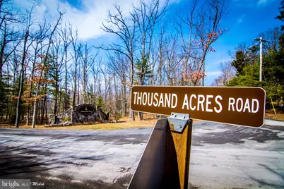 Lot 5 Azalea Way, Swanton, MD 21561 - Photo 25