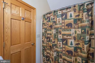 333 Sloan Tract Road, Oakland, MD 21550 - Photo 37