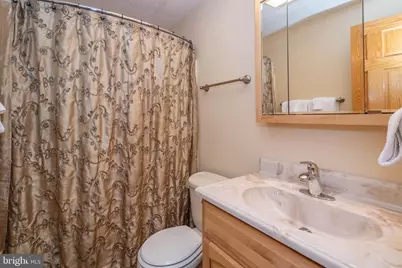 333 Sloan Tract Road, Oakland, MD 21550 - Photo 35