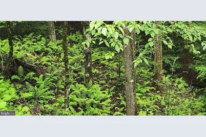 Yough View Drive #12, Oakland, MD 21550 - Photo 1