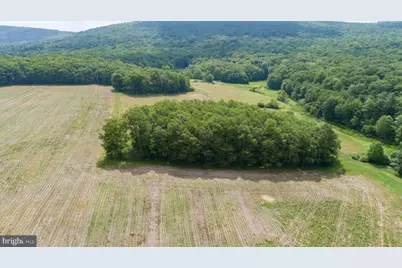 220 Diesel School Road, Accident, MD 21520 - Photo 85