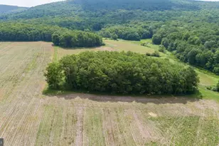 220 Diesel School Rd, Accident, MD 21520 - Photo 85