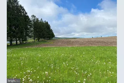 220 Diesel School Road, Accident, MD 21520 - Photo 5