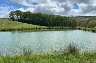 220 Diesel School Rd, Accident, MD 21520 - Photo 45