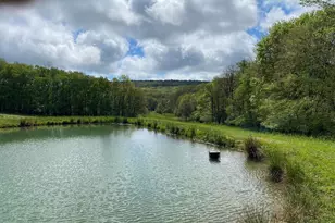 220 Diesel School Rd, Accident, MD 21520 - Photo 47