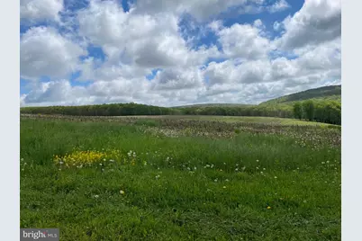 220 Diesel School Road, Accident, MD 21520 - Photo 51