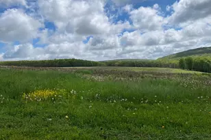 220 Diesel School Rd, Accident, MD 21520 - Photo 51