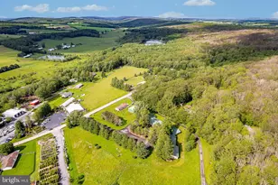 1724 Mosser Rd, Mc Henry, MD 21541 - Photo 23