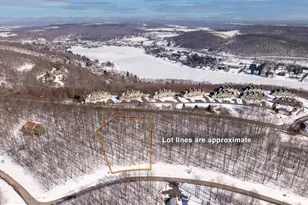 106 Snowhaven Ln, Mc Henry, MD 21541 - Photo 1