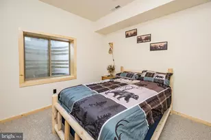 116 Chimney Rock Ln, Mc Henry, MD 21541 - Photo 53