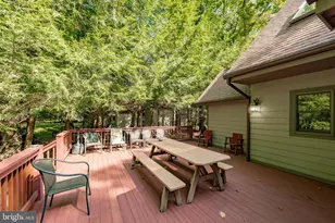 1019 Lake Shore Dr, Oakland, MD 21550 - Photo 65