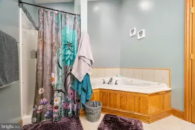 1875 Pysell Crosscut Road, Oakland, MD 21550 - Photo 57