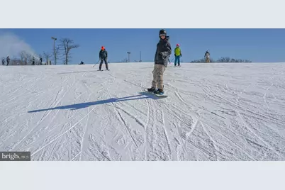 332 High Point Drive, Swanton, MD 21561 - Photo 77