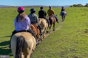 82 Landmark Dr, Mc Henry, MD 21541 - Photo 79