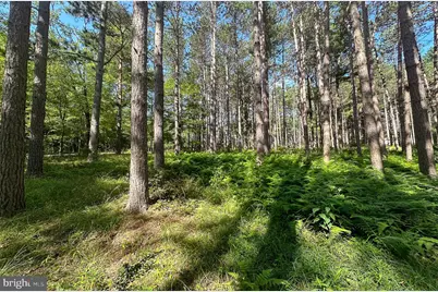 Lot 25 Holy Cross Drive, Oakland, MD 21550 - Photo 17