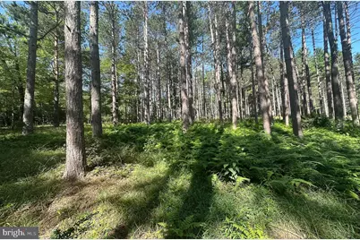 Lot 25 Holy Cross Drive, Oakland, MD 21550 - Photo 15