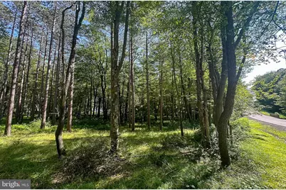 Lot 25 Holy Cross Drive, Oakland, MD 21550 - Photo 7