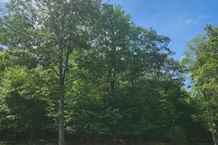 Lot 53 Mountainview Dr, Oakland, MD 21550 - Photo 1