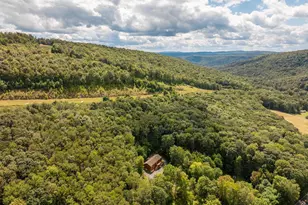 2228 Hoyes Run Rd, Mc Henry, MD 21541 - Photo 29