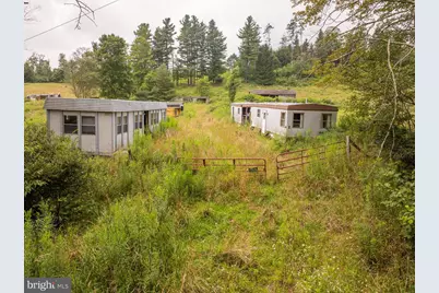 1055 Old Wilson Road, Swanton, MD 21561 - Photo 3