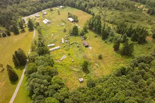 1055 Old Wilson Rd, Swanton, MD 21561 - Photo 1