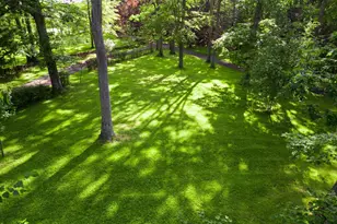 1720 Pysell Crosscut Rd, Oakland, MD 21550 - Photo 113