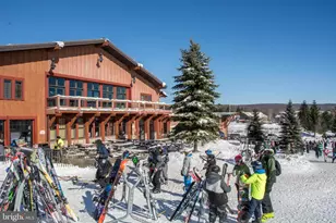 290 Marsh Hill Rd, Mc Henry, MD 21541 - Photo 43