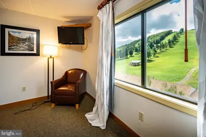 290 Marsh Hill Road #702K, Mc Henry, MD 21541 - Photo 9