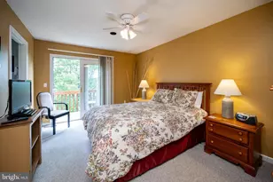 257 Marsh Hill Rd, Mc Henry, MD 21541 - Photo 25