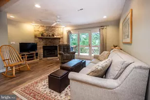 257 Marsh Hill Rd, Mc Henry, MD 21541 - Photo 19