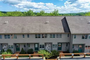 257 Marsh Hill Rd, Mc Henry, MD 21541 - Photo 59