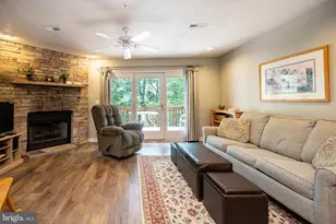 257 Marsh Hill Rd, Mc Henry, MD 21541 - Photo 17